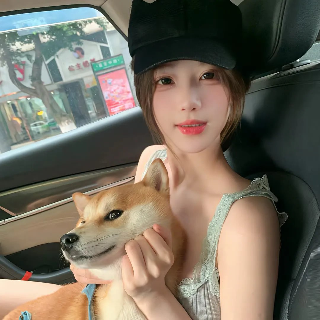 乌冬面之国的金色毛球